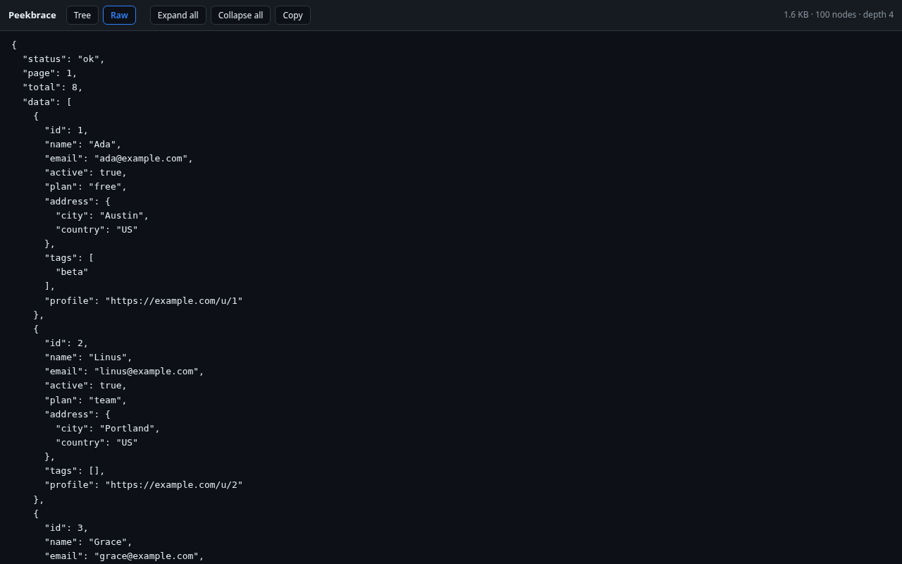 Peekbrace raw, pretty-printed view, dark theme